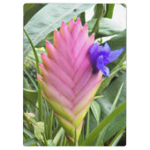 ピンクの熱帯クイル植物フローラ クリップボード (裏面)