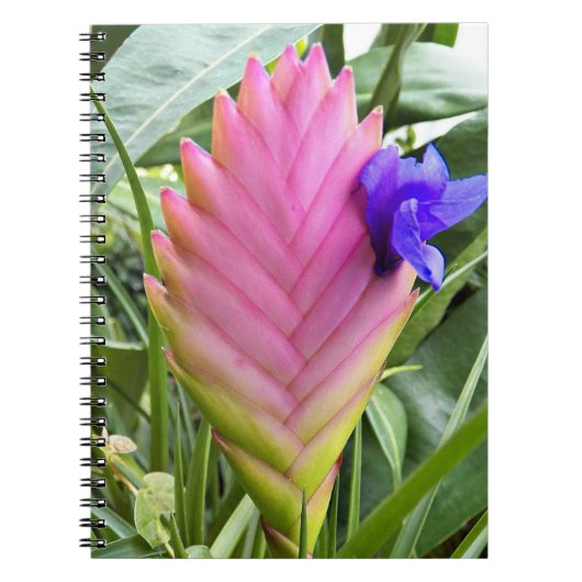 ピンクの熱帯クイル植物フローラ ノートブック (正面)