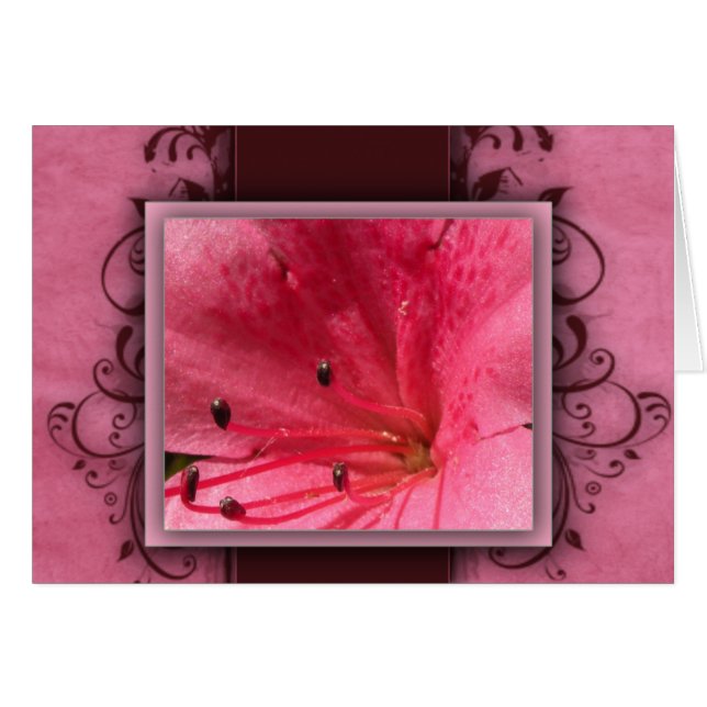 ピンクの熱帯ハイビスカスの花 (正面横)