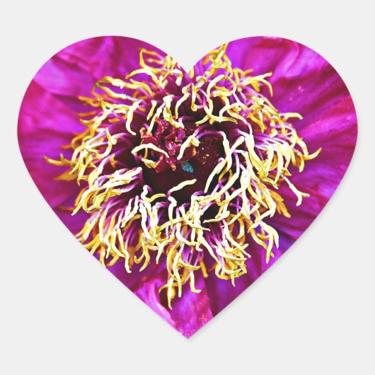 ピンクの爆発 ハートシール (正面)