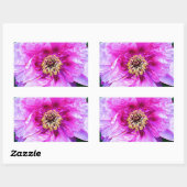 ピンクの爆発 長方形シール (シート)