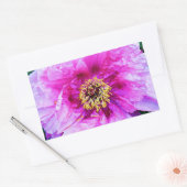 ピンクの爆発 長方形シール (封筒)