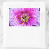 ピンクの爆発 長方形シール (バッグ)