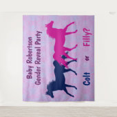 ピンクの牝馬または青の牡馬 性別お披露目パーティー タペストリー (正面)