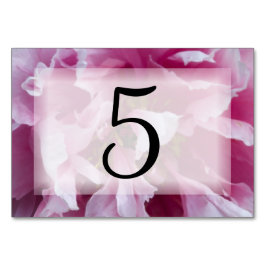 ピンクの牡丹の花のテーブル番号 テーブルナンバー