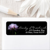 ピンクの牡丹の花の黒い背景 ラベル (インサイチュ)