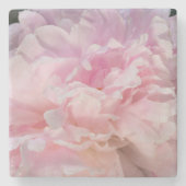 ピンクの牡丹の花 ストーンコースター (正面)