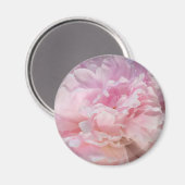 ピンクの牡丹の花 マグネット (正面/裏面)