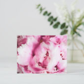 ピンクの牡丹の閉じ絵画込め ポストカード (スタンド正面)