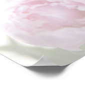 ピンクの牡丹はカードとギフトのサインをフェード ポスター (角)