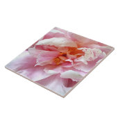 ピンクの牡丹淡い色ののクローズアップ タイル (側面)