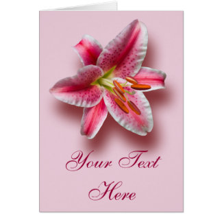 ピンクの独身のな占星家ユリ