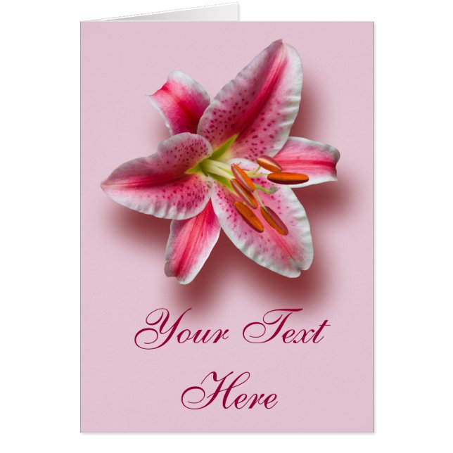 ピンクの独身のな占星家ユリ (正面)