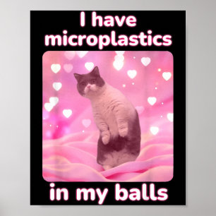 ピンクの猫にマイクロプラスチックが入ってるんだぜ メメダンクト ポスター