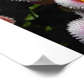 ピンクの玉 ポスター (角)