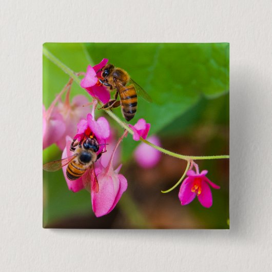 ピンクの珊瑚つる植物の蜂によってはクローズアップの写真が開花します 缶バッジ (正面)