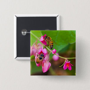 ピンクの珊瑚つる植物の蜂によってはクローズアップの写真が開花します 缶バッジ