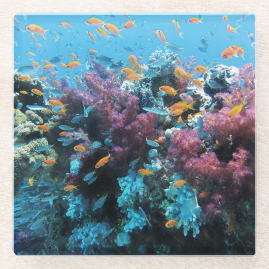 ピンクの珊瑚 ガラスコースター (正面)