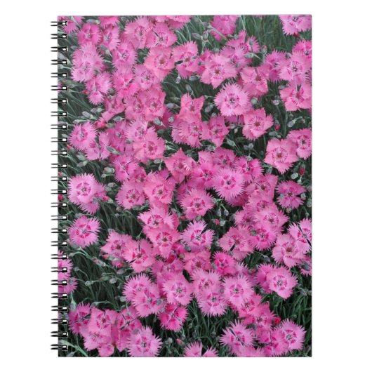 ピンクの甘いウイリアムの花 ノートブック (正面)