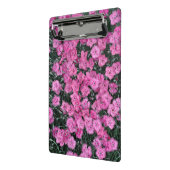 ピンクの甘いウイリアムの花 ミニクリップボード (アングル2)