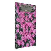 ピンクの甘いウイリアムの花 ミニクリップボード (アングル)