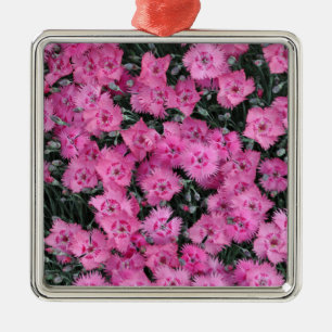ピンクの甘いウイリアムの花 メタルオーナメント