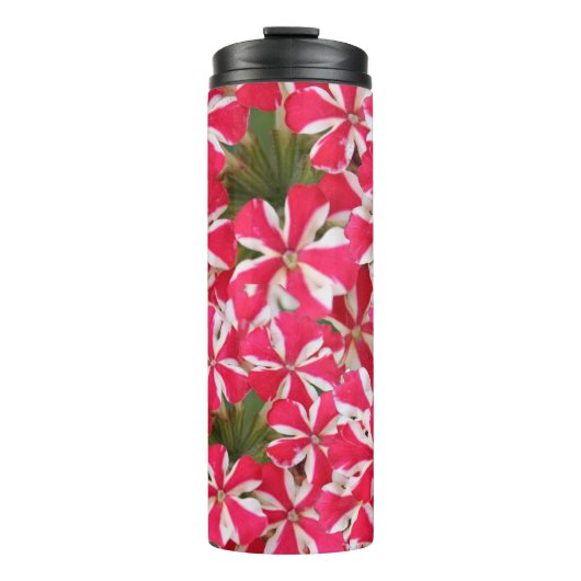 ピンクの白いペパーミントの花 タンブラー (正面)