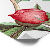 ピンクの白い牡丹の花結婚の座席表 ポスター (角)