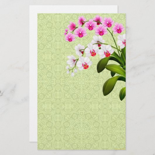 ピンクの白いphalaenopsis蘭の花文房具 便箋 (正面/裏面)