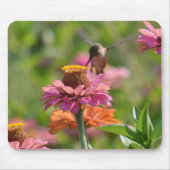ピンクの百日草の花とハチドリの写真 マウスパッド (正面)