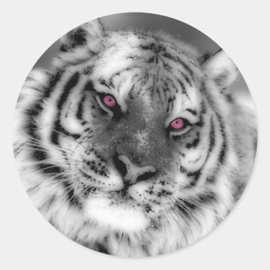 ピンクの目の虎 ラウンドシール (正面)