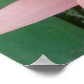 ピンクの睡蓮の花 ポスター (角)