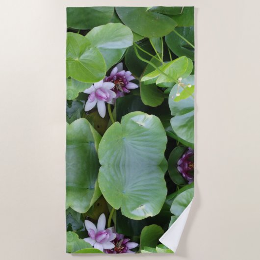 ピンクの睡蓮の花、蓮の花、写真 ビーチタオル (正面)