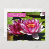 ピンクの睡蓮はがき ポストカード (正面/裏面)