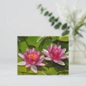 ピンクの睡蓮はがき ポストカード (スタンド正面)