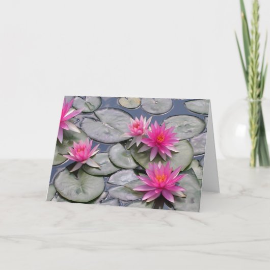 ピンクの睡蓮 カード (正面)