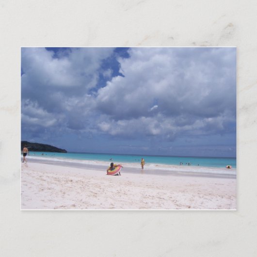 ピンクの砂浜 ポストカード (正面)