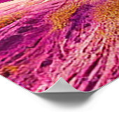 ピンクの砂漠にラクダ ポスター (角)