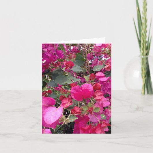 ピンクの紙の花が咲く シーズンカード (正面)