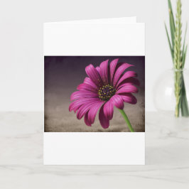 ピンクの紫色のつる植物の花の花愛平和芸術 カード