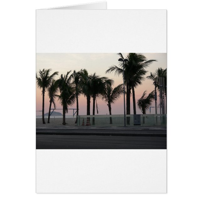 ピンクの紫色のやし (正面)