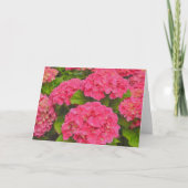 ピンクの紫陽花の庭の花のアートカード カード (正面)