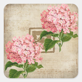 ピンクの紫陽花の房 II スクエアシール