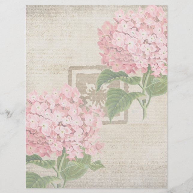 ピンクの紫陽花の房 II レターヘッド (正面)