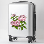 ピンクの紫陽花の花が満開 シール (スーツケース)