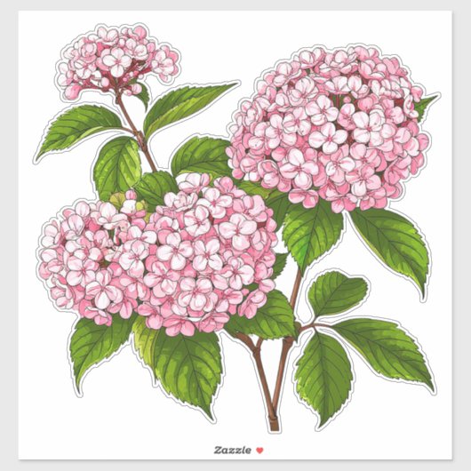 ピンクの紫陽花の花が満開 シール (シート)