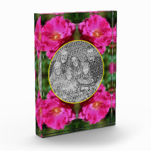 ピンクの絵を描バラの花 フォトブロック