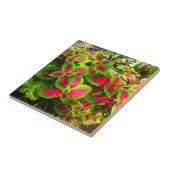 ピンクの緑のコリウスの花の熱帯タイル タイル (側面)