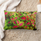 ピンクの緑のコレウス花枕 ランバークッション (ブランケット)