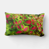 ピンクの緑のコレウス花枕 ランバークッション (裏面)
